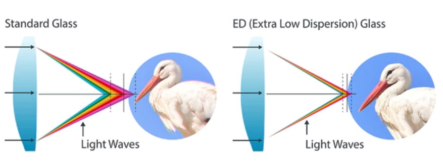 Celestron Nature DX 10x42 ED Roof Prism Binoculars CLS-72333